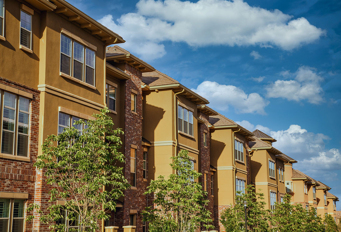 apartment construction expert witness
